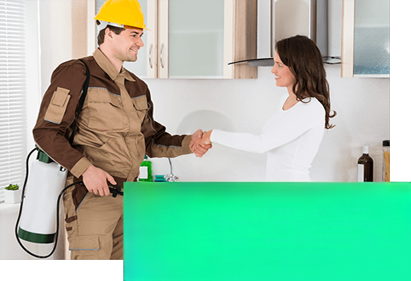 Commercial pest control team