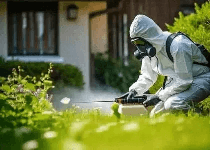 Residential Pest Control