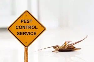 Residential Pest Control