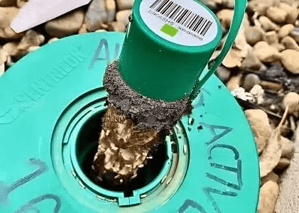 Termite Treatment