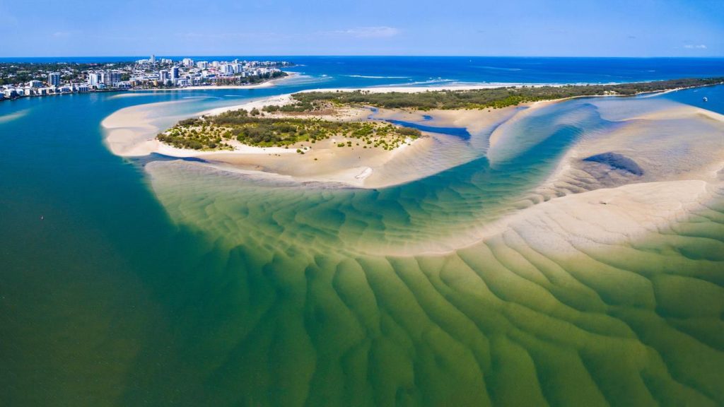 Pest Control Services in Bribie Island