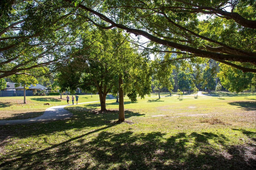 Pest Control Services in Bridgeman Downs