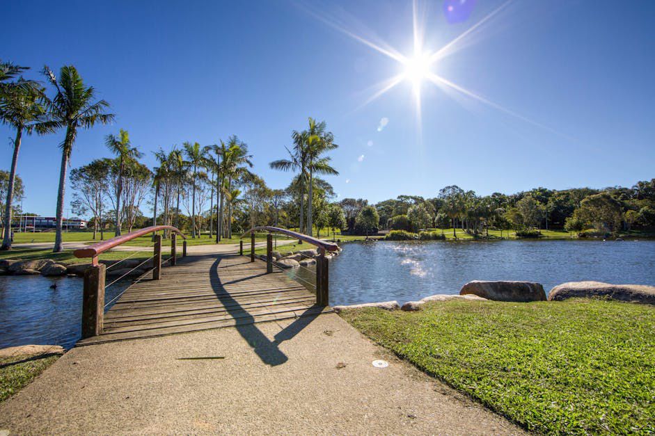 Pest Control Services in Caboolture