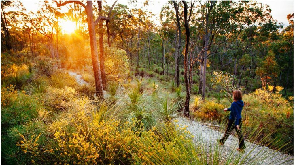 Pest Control Services in Chermside