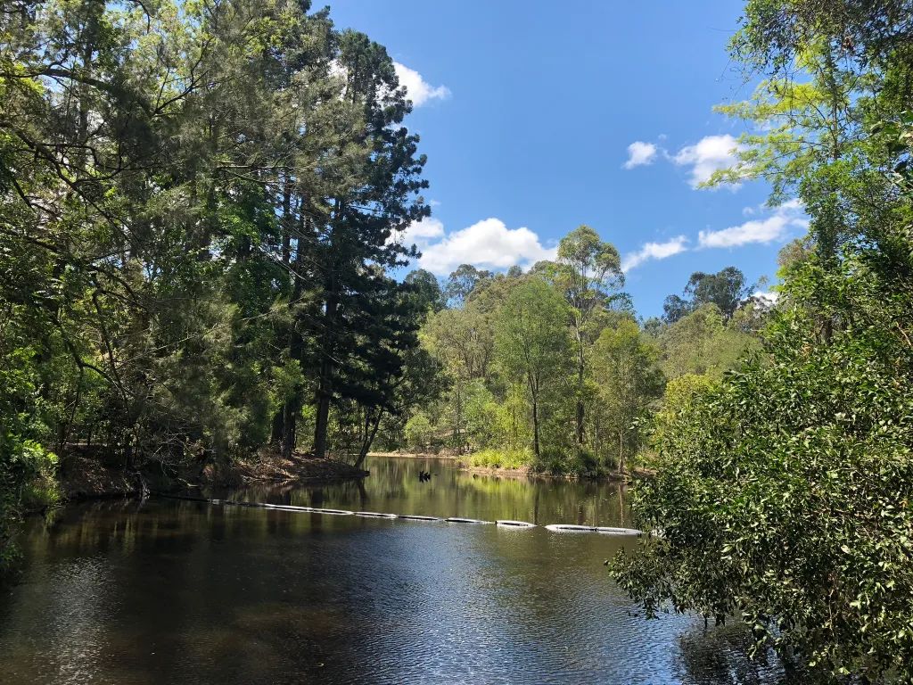 Pest Control Services in Eaton Hills