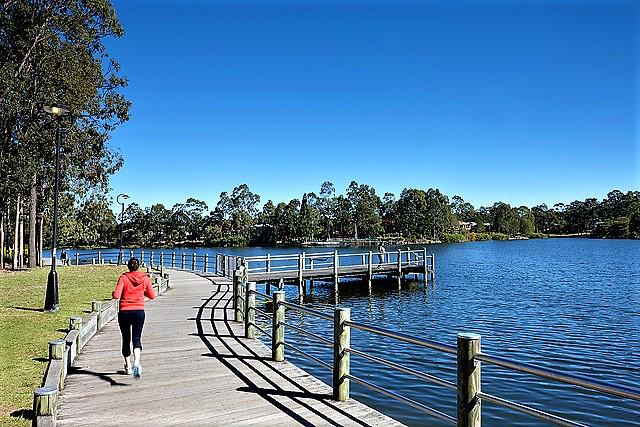 Pest Control Services in Forest Lake