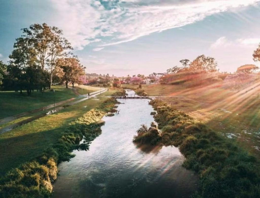 Pest Control Services in Kedron