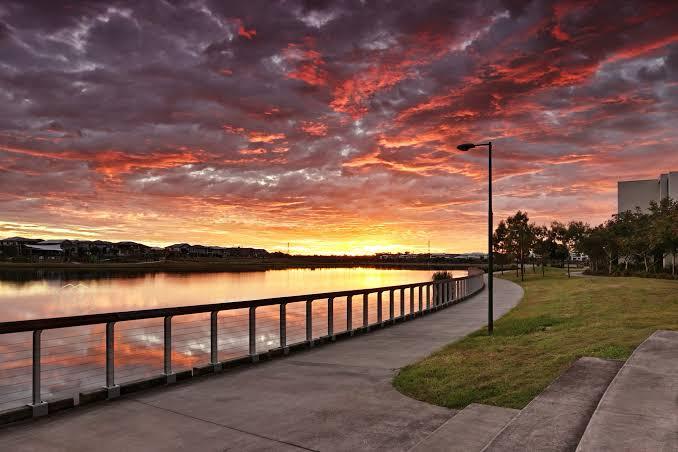 Pest Control Services in Mango Hill