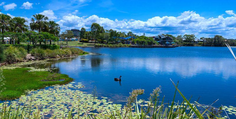 Pest Control Services in North Lakes