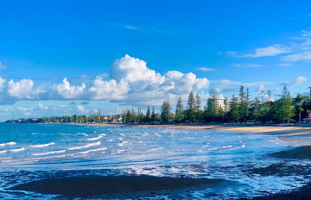 Pest Control Services in Redcliffe