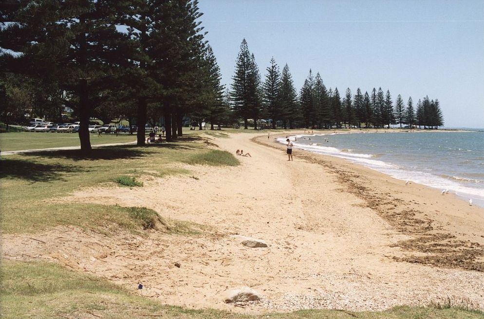 Pest Control Services in Scarborough