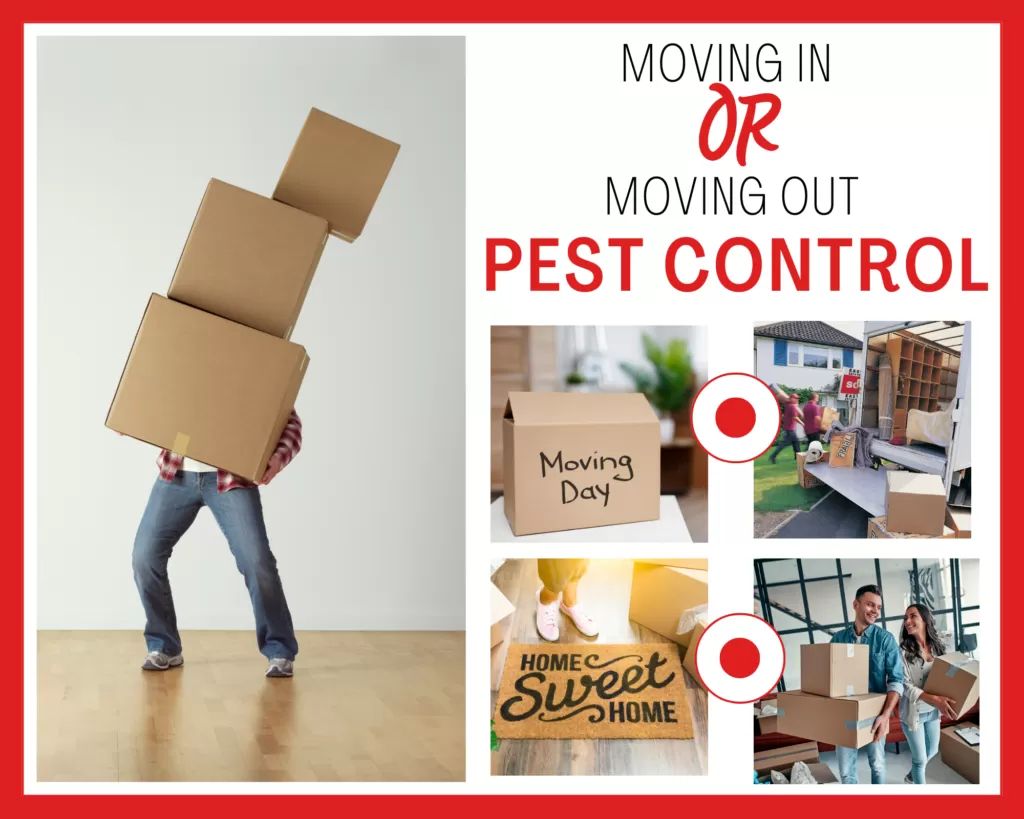 Move In / Move Out Pest Control Package