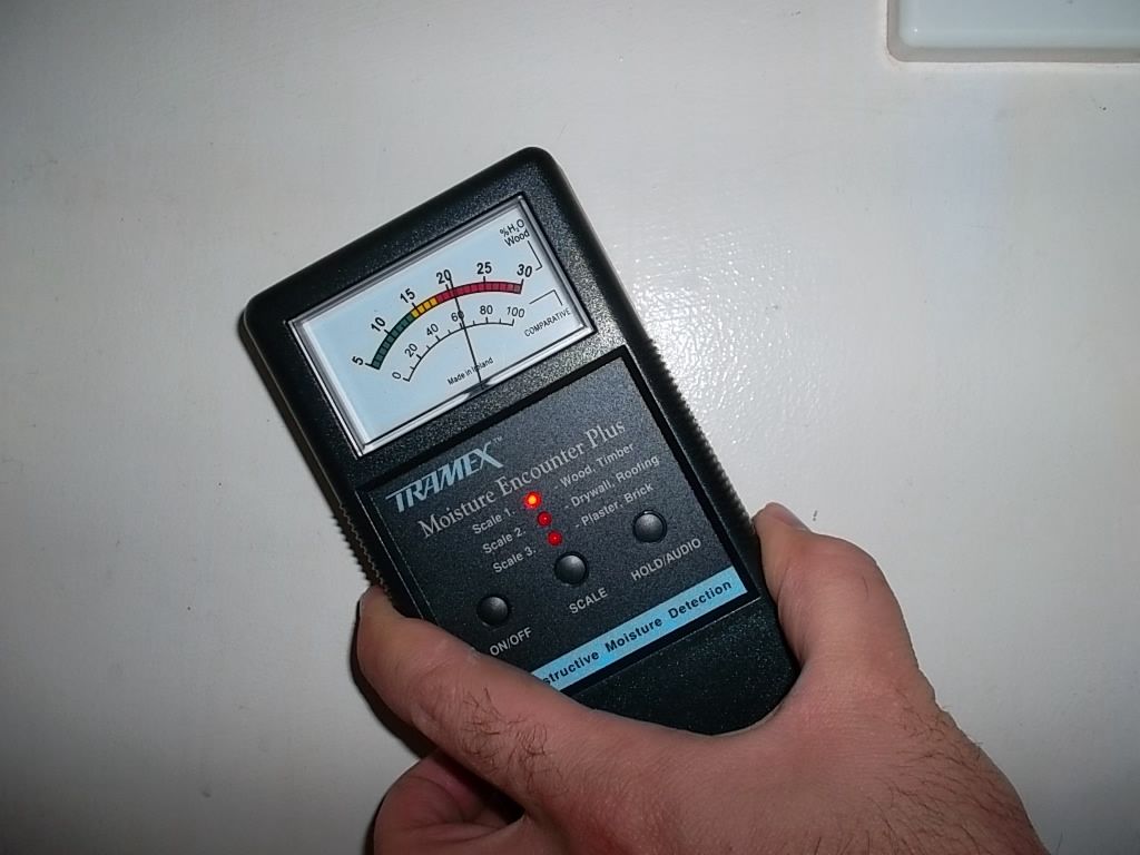 Termite Inspection