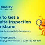 How to Get a Termite Inspection in Brisbane