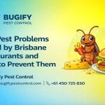 Top Pest Problems Faced by Brisbane Restaurants and How to Prevent Them