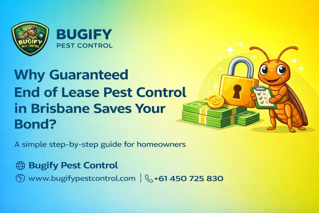 Why Guaranteed End of Lease Pest Control in Brisbane Saves Your Bond
